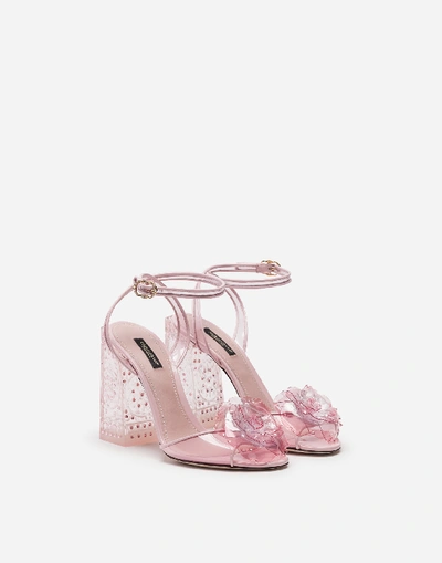 Shop Dolce & Gabbana Cinderella Sandals With Sint Glass Heel