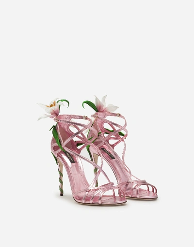 Shop Dolce & Gabbana Mordore Nappa Sandals With Lily Embroidery