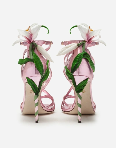 Shop Dolce & Gabbana Mordore Nappa Sandals With Lily Embroidery