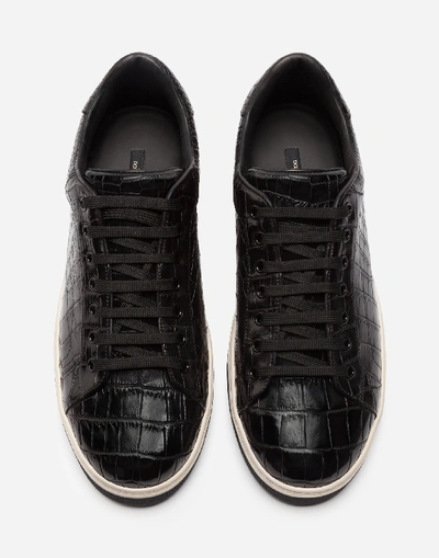 Shop Dolce & Gabbana Rome Sneakers In Crocodile Leather