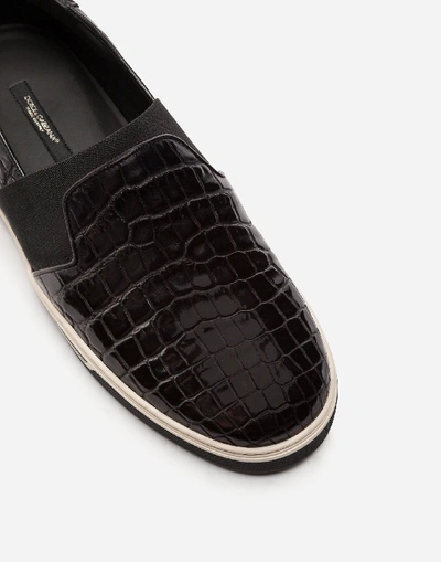Shop Dolce & Gabbana Rome Slip-on Sneakers In Crocodile Leather
