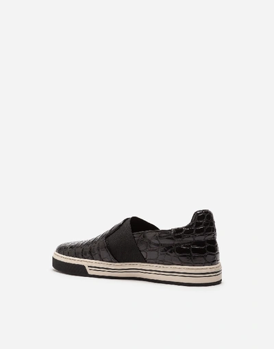 Shop Dolce & Gabbana Rome Slip-on Sneakers In Crocodile Leather