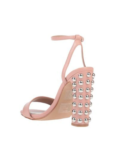 Shop Steve Madden Woman Sandals Blush Size 6.5 Textile Fibers In Pink