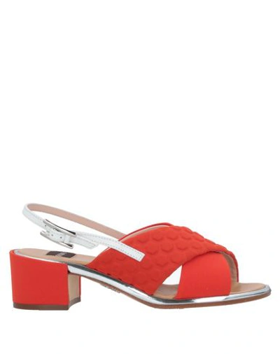 Shop Rodo Sandals In Coral