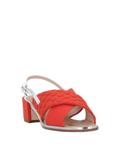Shop Rodo Sandals In Coral