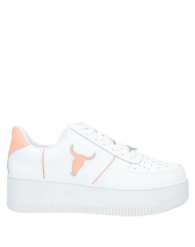 Shop Windsor Smith Sneakers In White