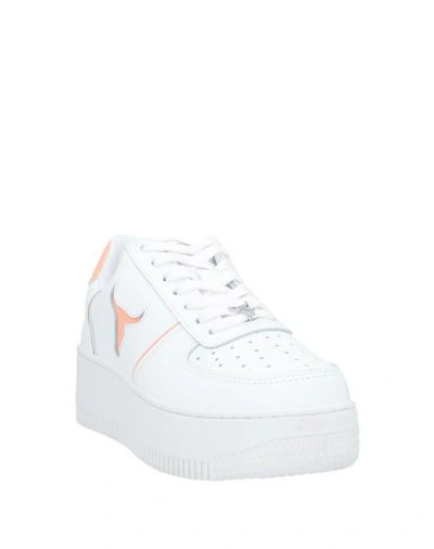 Shop Windsor Smith Sneakers In White