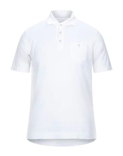 Shop Circolo 1901 Polo Shirt In White