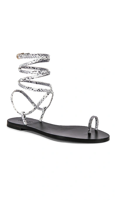 Shop Raye Dali Sandal In Black & White