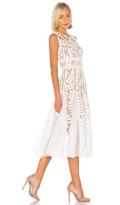 Bronx And Banco Women's Bridal Saba Guipure Lace Midi-dress In White