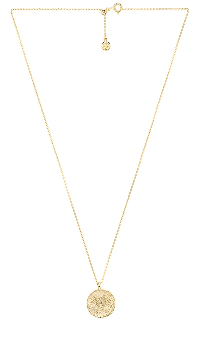 Shop Gorjana Palm Coin Necklace In Gold
