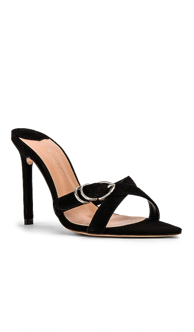 Tony bianco mikki clearance