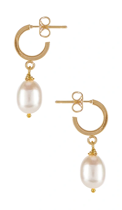 Shop Natalie B Jewelry Milky Way Mini Hoops In Gold