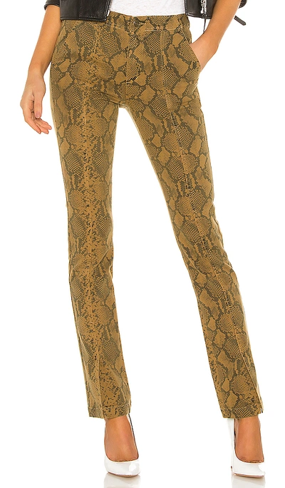 Shop Pam & Gela Seamed Snake Baby Boot Pant In Chai
