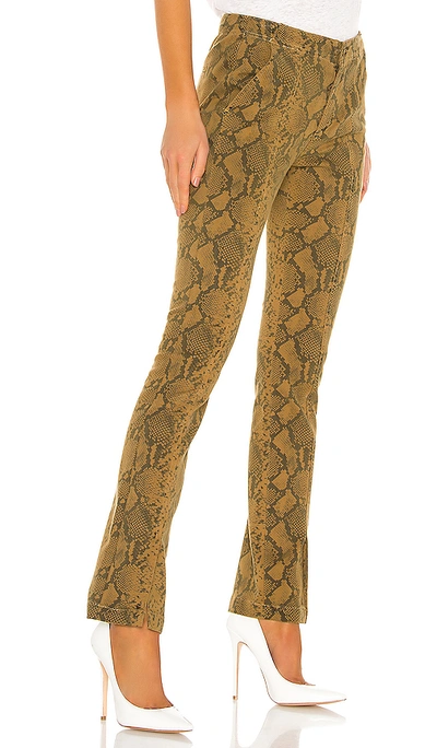 Shop Pam & Gela Seamed Snake Baby Boot Pant In Chai