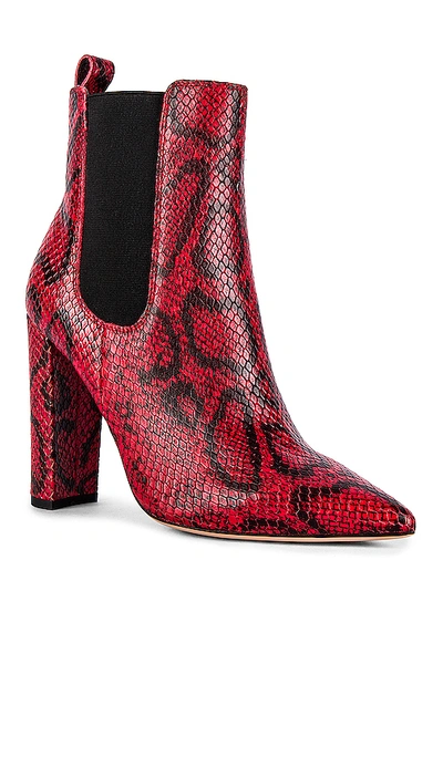 Shop Tony Bianco Lavida Boot In Red & Black Snake