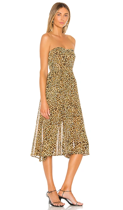 Shop Lovers & Friends Marcus Midi Dress In Cheetah Print