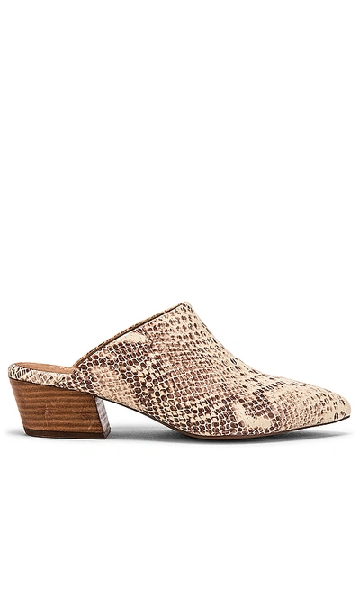Shop Seychelles Rendezvous Mule In Natural Exotic