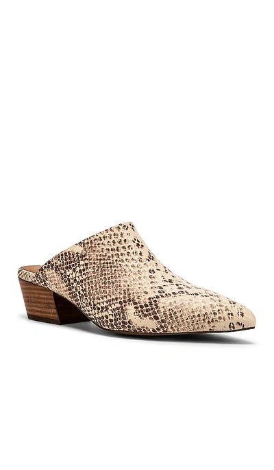 Shop Seychelles Rendezvous Mule In Natural Exotic