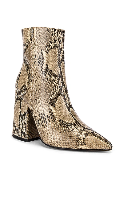 Shop Alias Mae Ahara Bootie In Beige Snake