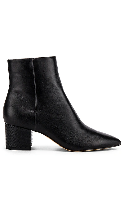 Shop Dolce Vita Bel Bootie In Onyx Leather