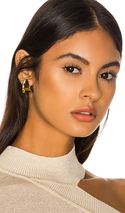 Shop Jenny Bird Juno Mini Hoop Earrings In Gold