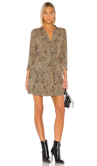 Shop 1.state Leopard Muse Patch Pocket Shirt Dress In Caramel Multi