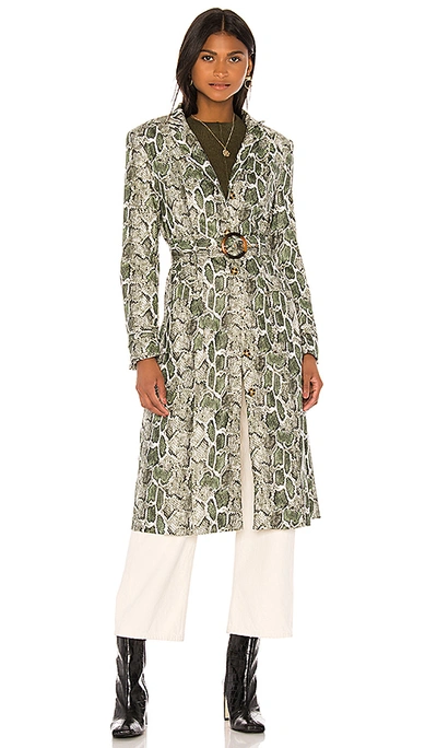 Shop Song Of Style Desmond Faux Leather Coat In Green Snake