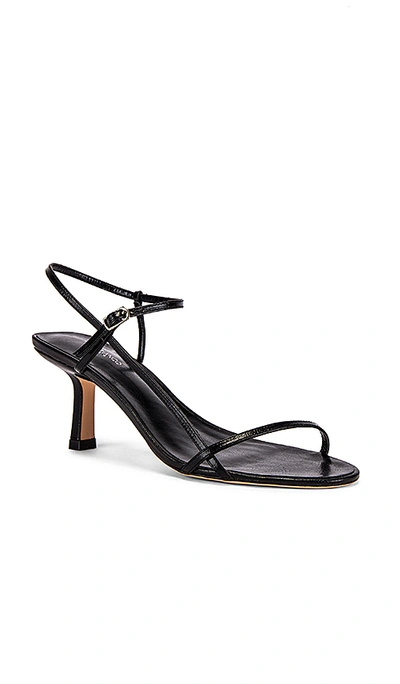 Tony Bianco Caprice Ankle Strap Sandal In Black