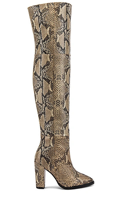 Shop Alias Mae Alla Boot In Beige Snake