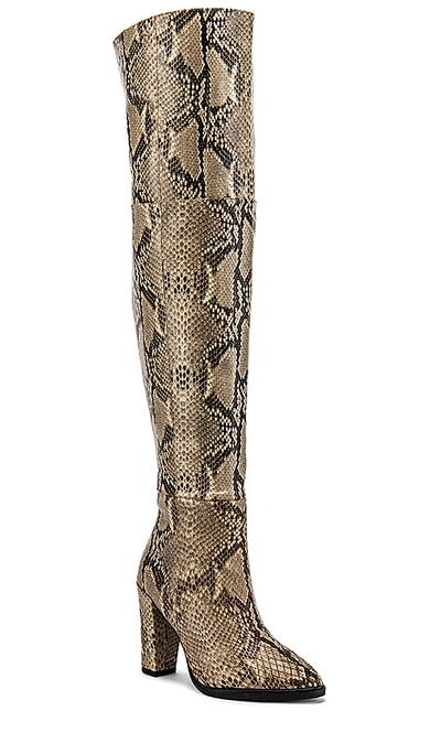 Shop Alias Mae Alla Boot In Beige Snake