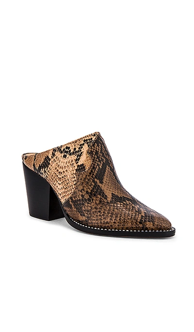 Shop Schutz Destiny Mule In Bear & Honey Beige Snake