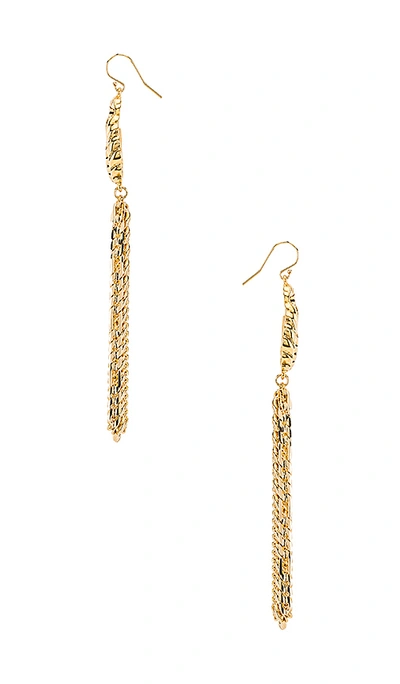 Shop Vanessa Mooney The Catalina Earrings In Gold