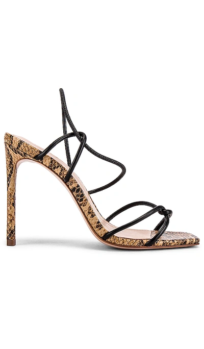 Shop Schutz Gabiele Heel In Honey Beige Snake