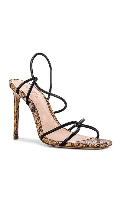 Shop Schutz Gabiele Heel In Honey Beige Snake