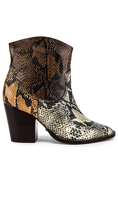 Shop Schutz Haven Boot In Natural  Bear & Honey Beige Snake