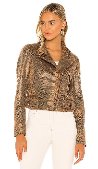 Shop Free People Snake Skin Fenix Jacket In Black Combo