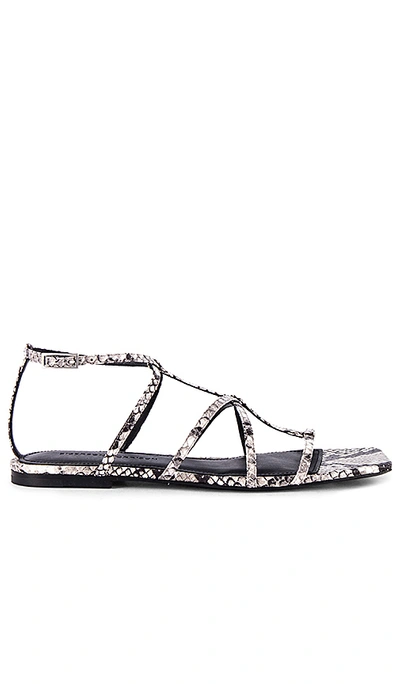 Shop Sigerson Morrison Fedora Sandal In Roccia