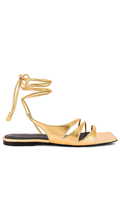 Shop Sigerson Morrison Faune Sandal In Gold