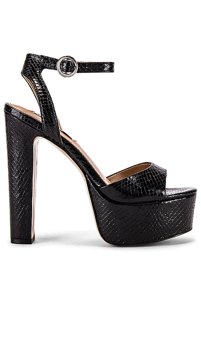 Steve Madden Skyla Platform Heel In Black Snake ModeSens