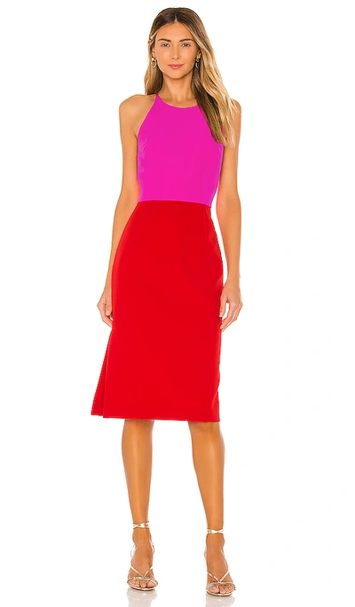 Shop Milly Cady Layla Combo Dress In Fuchsia & Flame