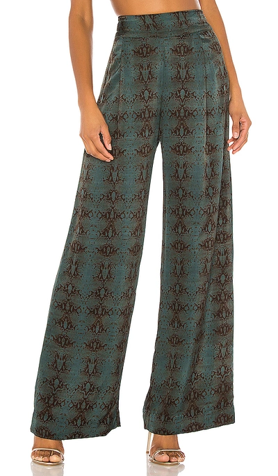 Shop Indah Roma Tuxedo Pant In Jungle Viper