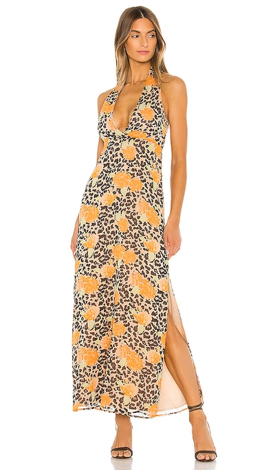 Shop Majorelle Carine Maxi Dress In Leopard Multi