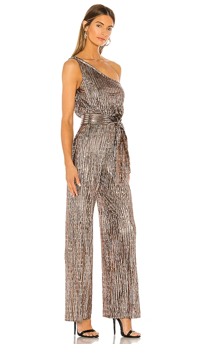 Shop Lovers & Friends Jones Jumpsuit In Bronze