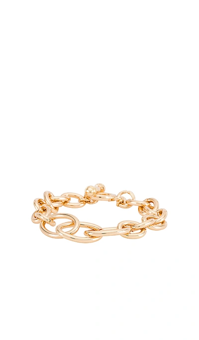 Shop Ettika Link Chain Bracelet In Gold