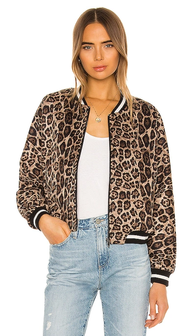 Shop Bb Dakota Cat Fight Bomber In Brown