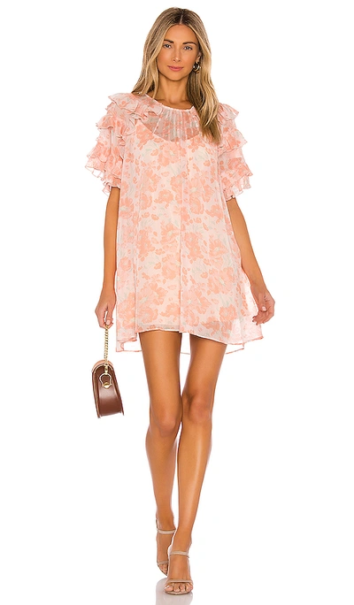 Shop Tularosa Marlena Dress In Blush Poppy Floral