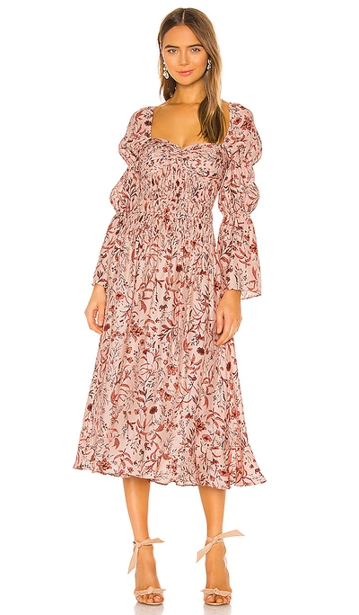 Shop Amur Filipa Dress In Blush Wildflowers