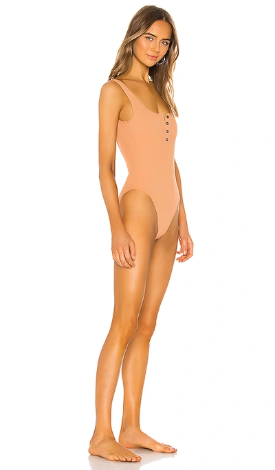 Shop L*space Float On Classic One Piece In Chestnut