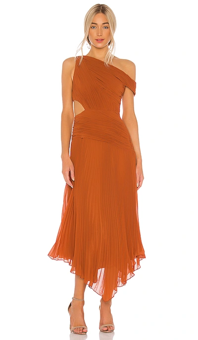 Shop Aiifos Jade Gown In Copper